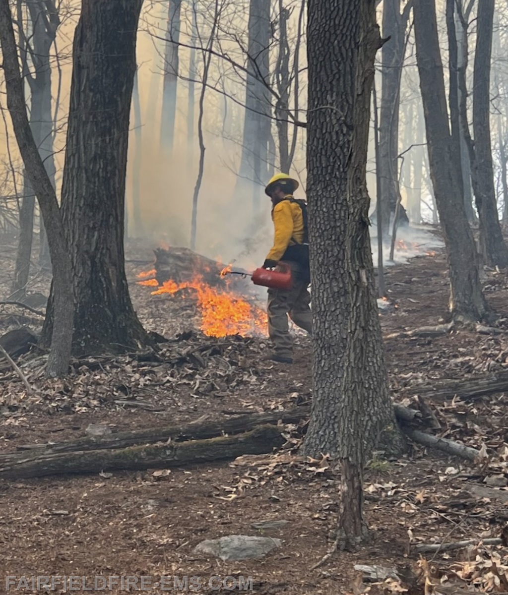 Fire Danger Is MODERATE - Please be careful.